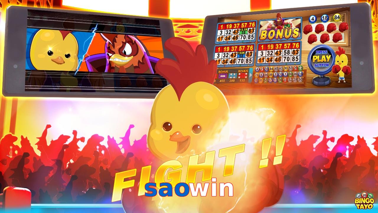 saowin